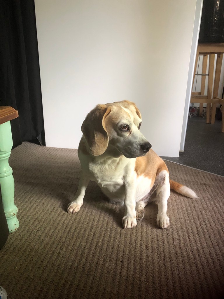 Having To Say Goodbye